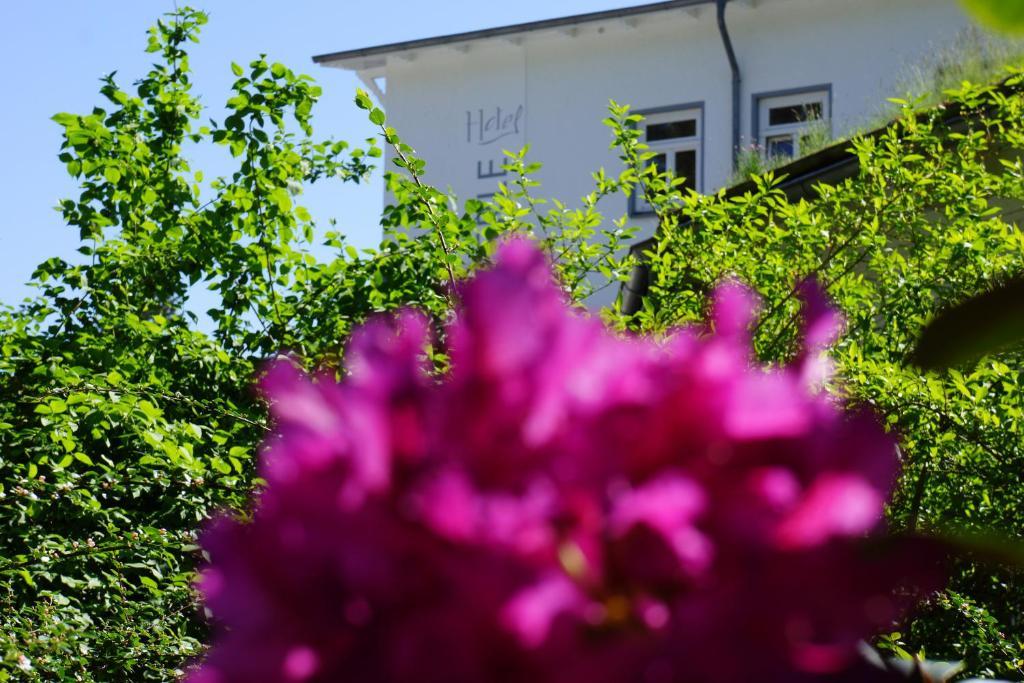 Hotel Waldperle Graal-Mueritz Exterior foto